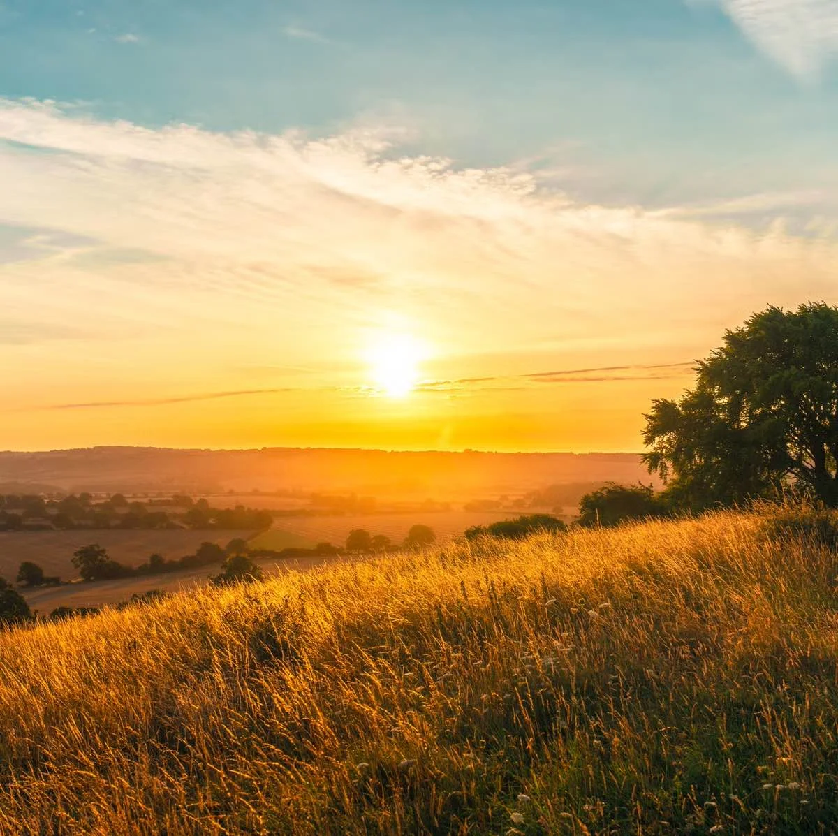 Summer Solstice 6853f22fa71fa