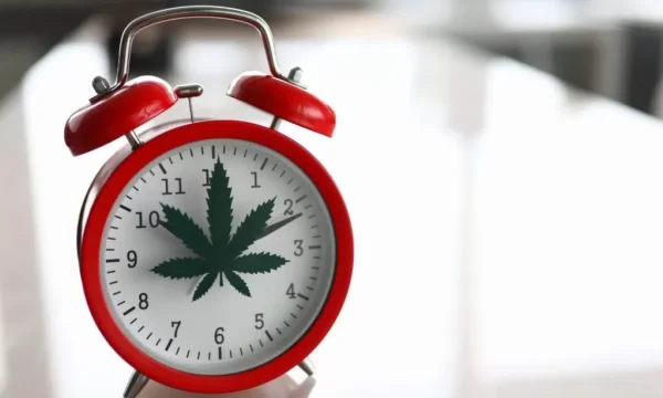 alarm clock with marijuana leaf design
