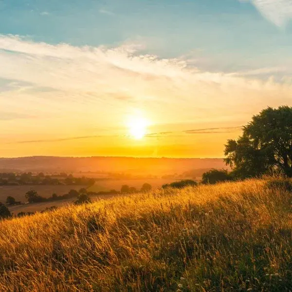 Summer Solstice