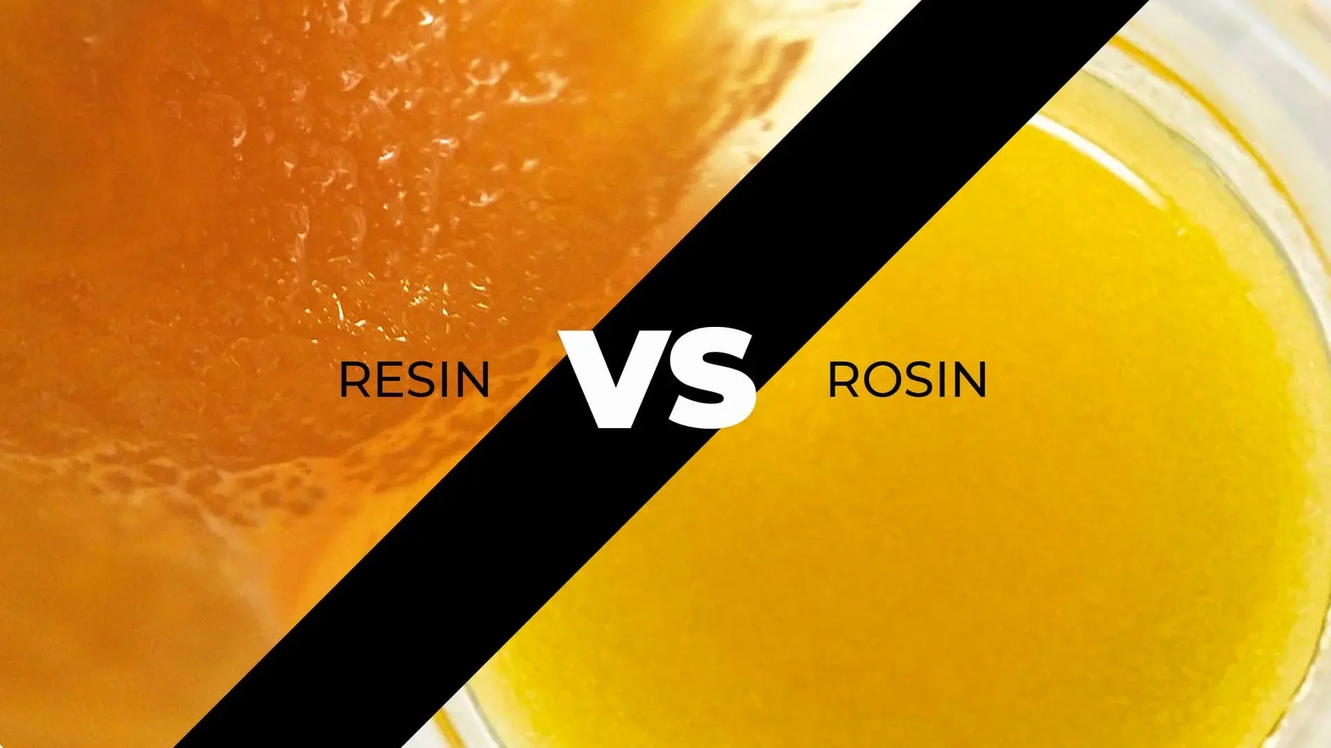 Rosin Vs Resin Extraction