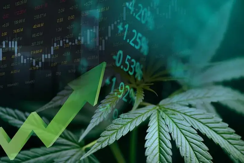 Cannabis Trends 2026