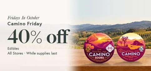 Camino Friday