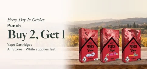 Every Day Punch Buy 2 Get 1