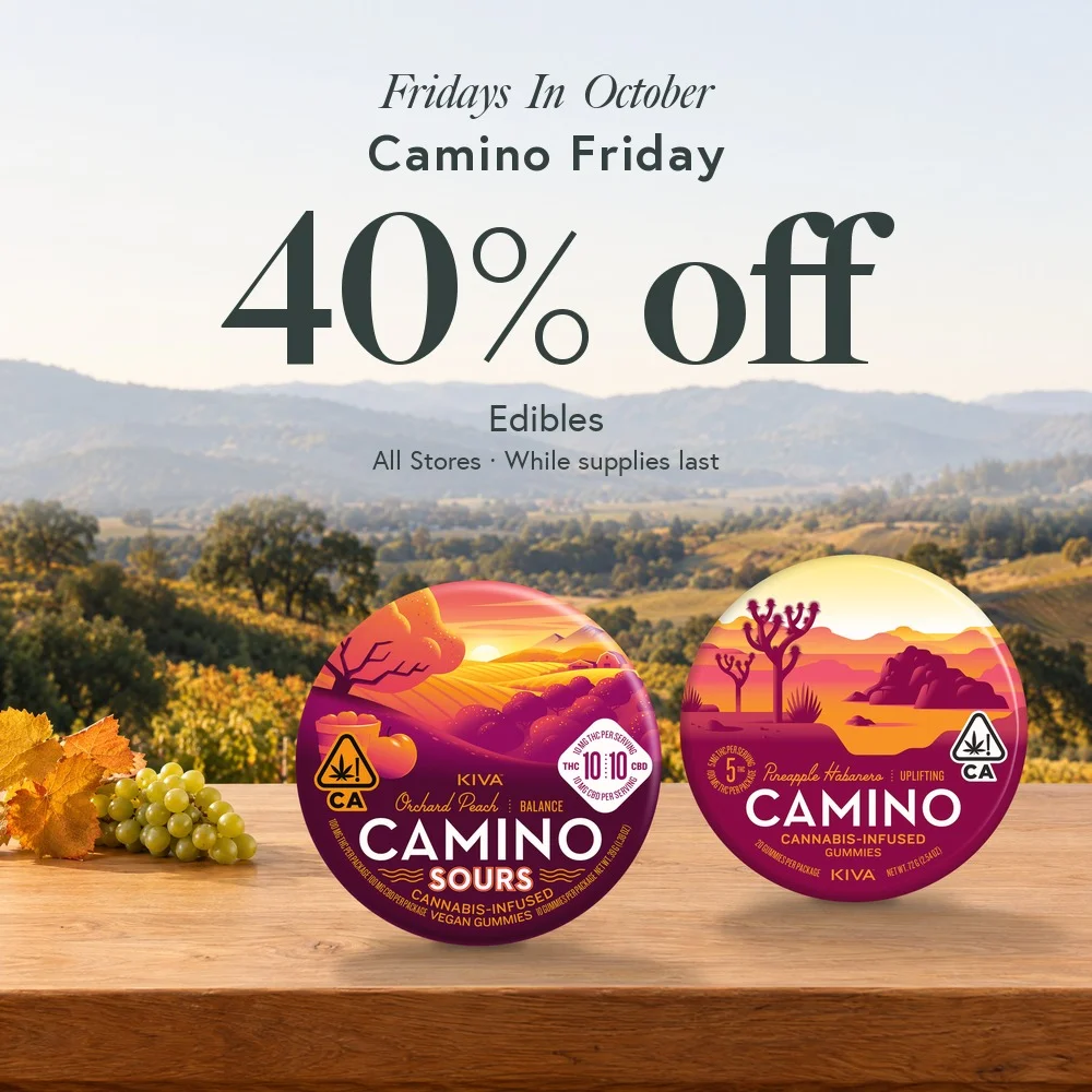 Camino Friday