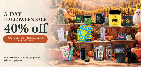 Homepage Deal Cards Halloween Sale 40 Off 484 X 230