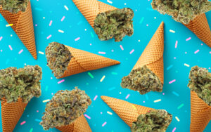 Celebrate the First Day of Summer with the Best Cannabis Products